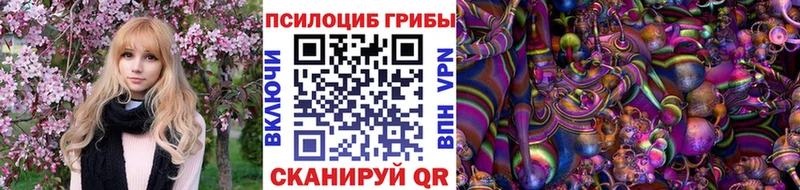 продажа наркотиков  Лесосибирск  Галлюциногенные грибы Cubensis 