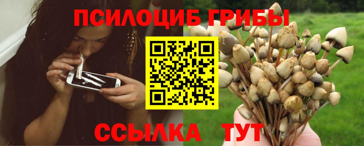 Псилоцибиновые грибы Magic Shrooms  Галлюциногенные грибы Magic Shrooms  Лесосибирск  Вход с VPN 